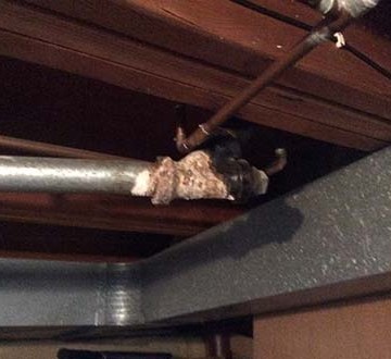 Sheboygan and Manitowoc WI Residential Home Inspection - Corroded pipes to ice cube maker